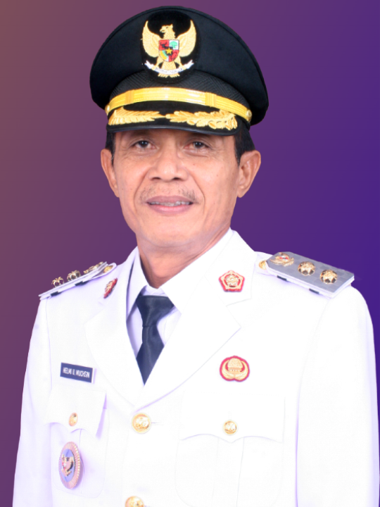 Helmi Umar Muchsin